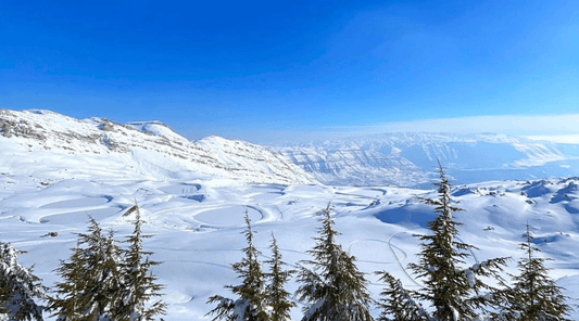 Snowshoeing Laklouk-Akoura