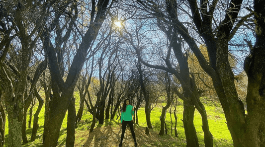 Hike in Miziara