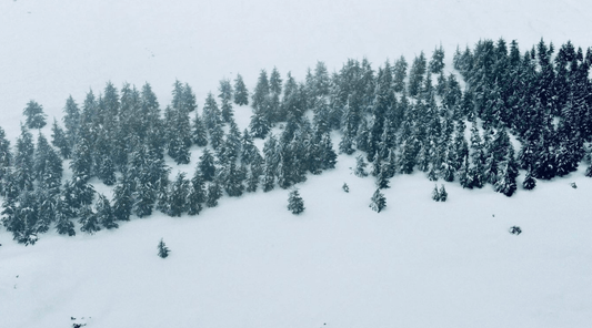 Snowshoeing in Bekish